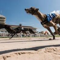 Derby day puts Towcester on the sporting map