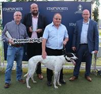 Towcester beefs up security as kidnapped €1m dog lines up in Greyhound Derby