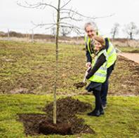 Planning firm celebrate success of MK50 tree campaign
