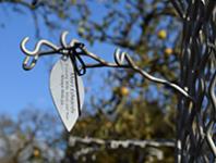 Tree of life creates lasting memories at Willen Hospice