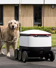 Guide dogs and delivery robots: New project explores the interaction