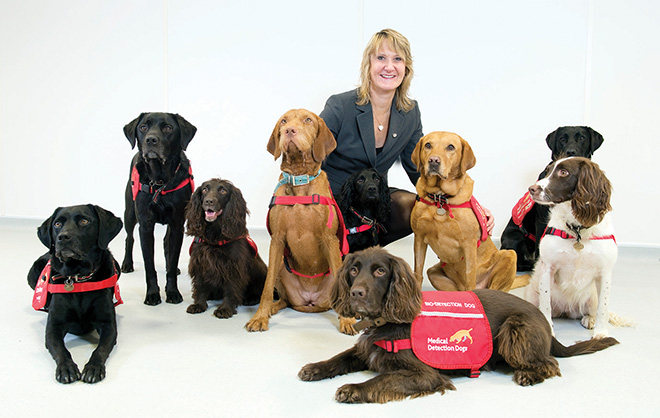 Detection dogs can join the fight against COVID-19, says charity