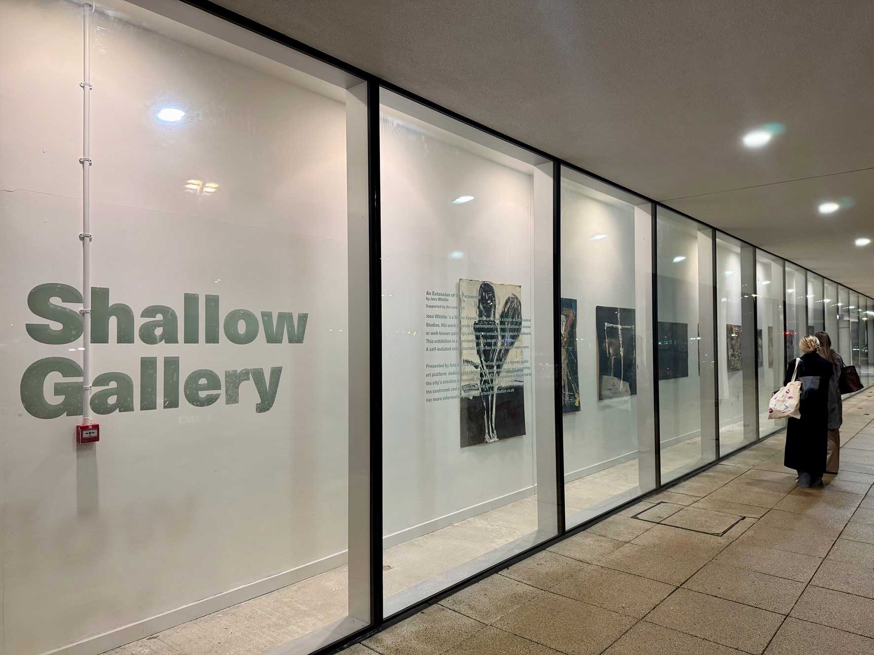 Artwork by Joss Whittle displayed in The Shallow Gallery at centre:mk, Milton Keynes.